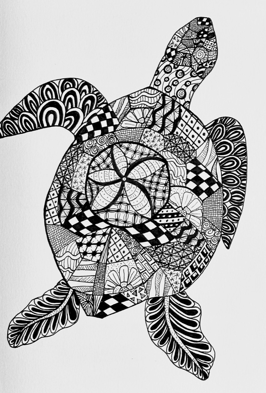 A New Way of&nbsp;Seeing